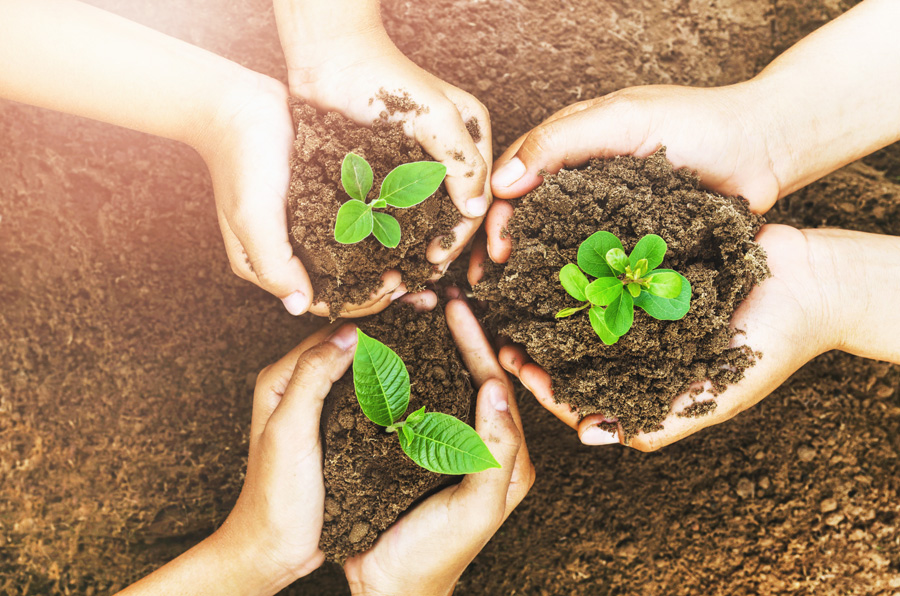 Sustainable growth