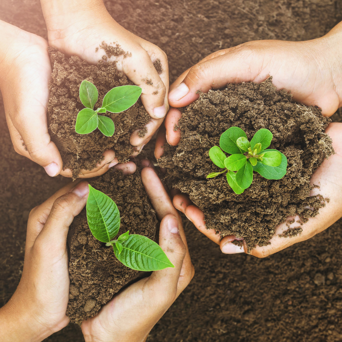 Our Values – Sustainability Unsere Werte - Nachhaltigkeit